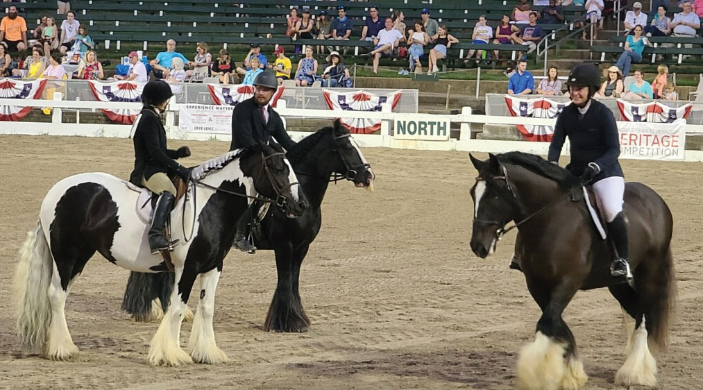 Charity Horse Show
